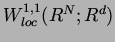 $W_{loc}^{1,1}(R^N;R^d)$