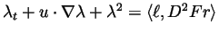 $\lambda_t + u
\cdot \nabla \lambda + \lambda^2 =\left<\ell,D^2Fr\right>$