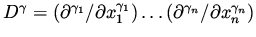 $D^\gamma =
(\partial ^{\gamma _1}/\partial x_1^{\gamma _1})\dots(\partial ^{\gamma _n}/\partial x_n^{\gamma _n})$