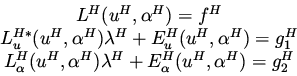 \begin{eqnarray*}
\begin{array}{c}
L^H(u^H, \alpha ^H)= f^H\\
L_u^{H*}(u^H, \al...
...)\lambda ^H + E_{\alpha}^H (u^H,\alpha ^H)= g_2^H \\
\end{array}\end{eqnarray*}