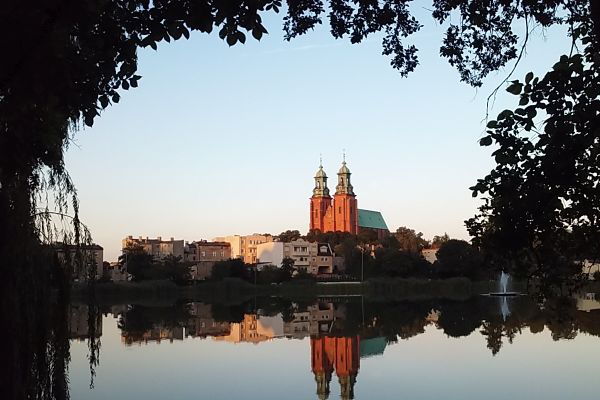 widok1