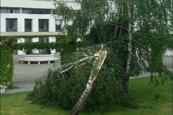 burza1