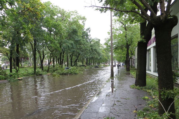 burza10.jpg