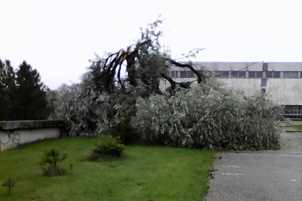 burza5
