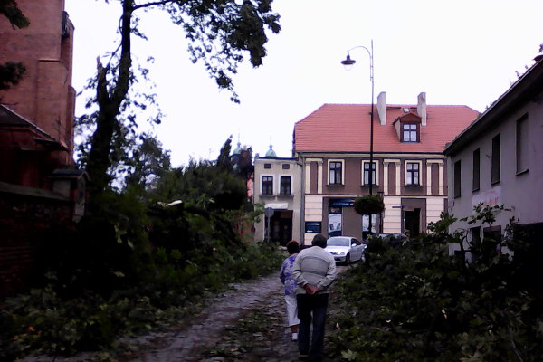 burza6