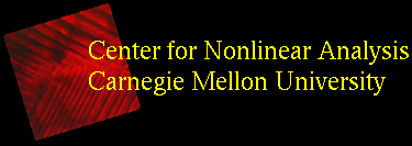 [Center for Nonlinear Analysis, Carnegie Mellon
University]