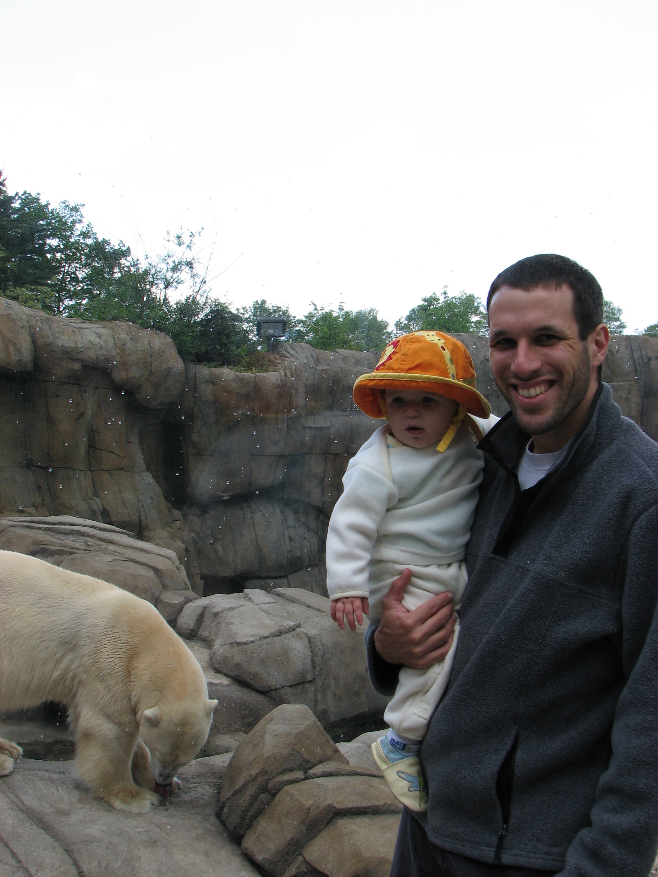 polarbear