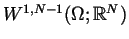 $W^{1,N-1}(\Omega;\mathbb{R}^N)$