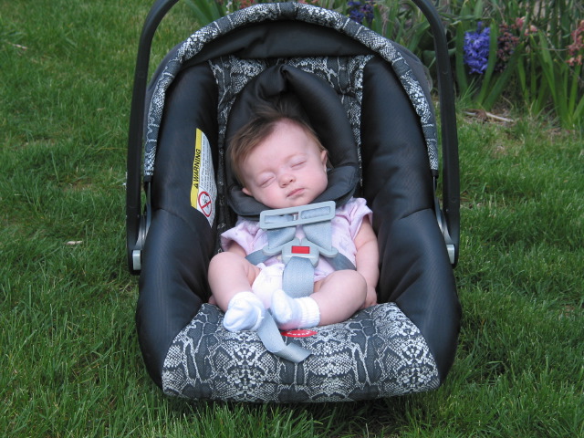 Ariella hiding from the sun, April 18, 2002