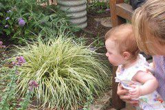 Ariella entranced by the butterfly