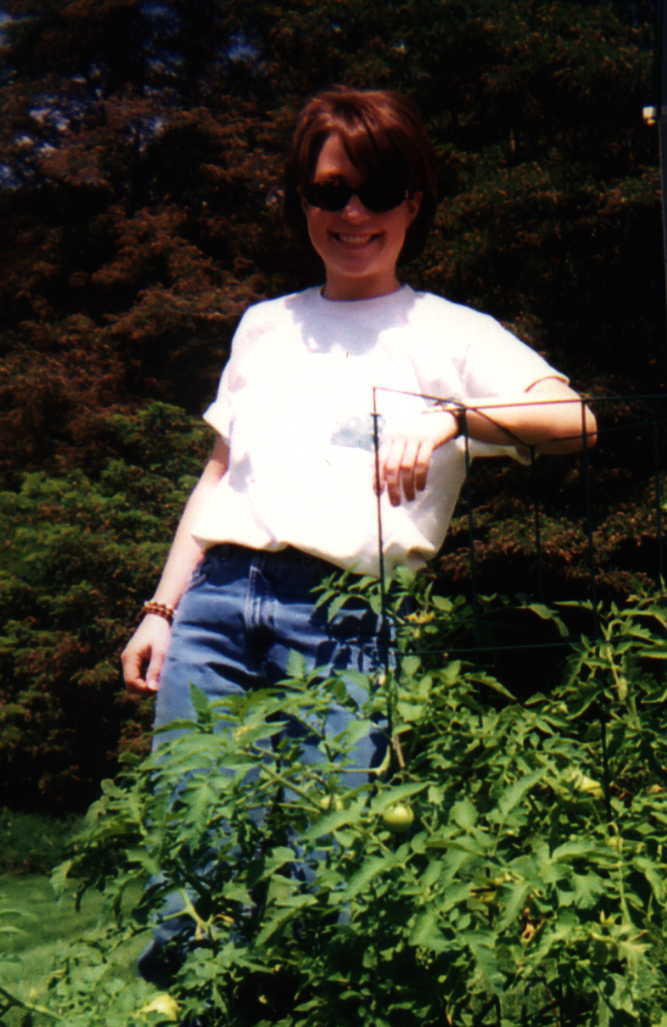 Monica's tomato plants