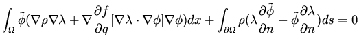 $\displaystyle \int _\Omega \tilde \phi ( \nabla \rho \nabla \lambda + \nabla \f...
...tilde\phi}{\partial n}- \tilde \phi \frac{\partial \lambda}{\partial n}) ds = 0$