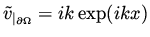 $\tilde v _{\vert _{\partial\Omega}} = i k \exp( i k x)$