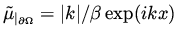 $ \tilde \mu _{\vert _{\partial\Omega}} = \vert k \vert / \beta \exp ( i k x) $
