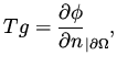 $\displaystyle Tg = \frac{\partial \phi}{\partial n}_{\vert{\partial\Omega}},$
