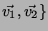 $\vec{v_1},\vec{v_2}\}$