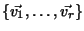 $\{\vec{v_1}, \ldots, \vec{v_r}\}$