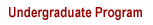 Undergraduate Program